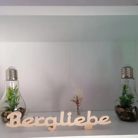 Bergliebe In Willingen-usseln Ferienhaus *