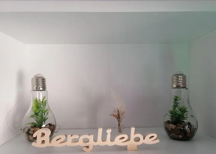 Bergliebe In Vakantiehuis *